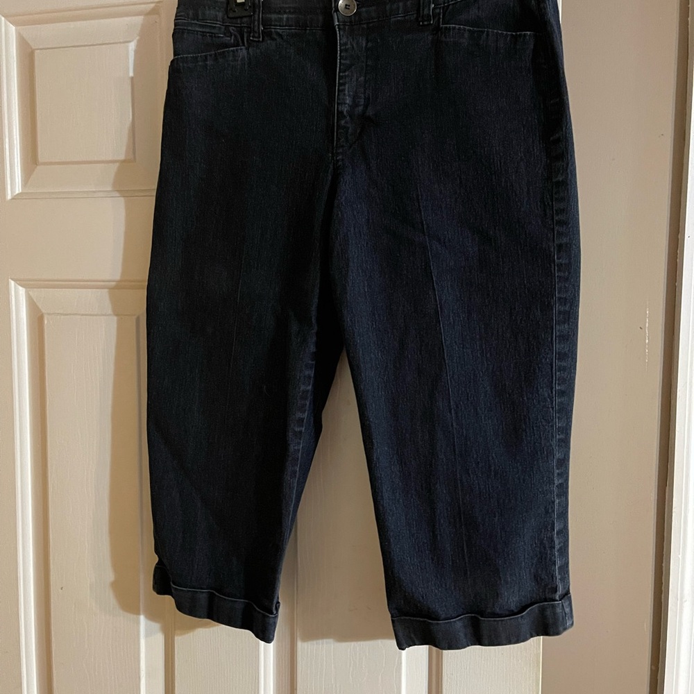 Bandolino Denim Capri Pants Size 10P
